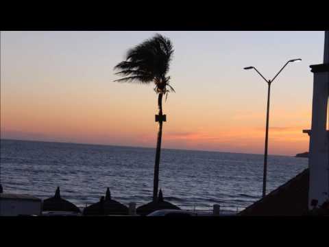 Rosa Maria se fue ala Playa/Los Moonlights