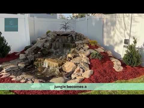 Transform your Backyard into a Luxurious Oasis