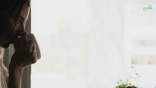 How to Transcribe Audio - Way With Words