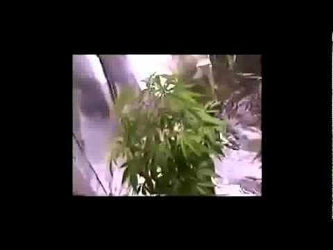 big basta ft grand thugz,un e dua barin.