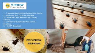 Arrow Exterminating Pest Control