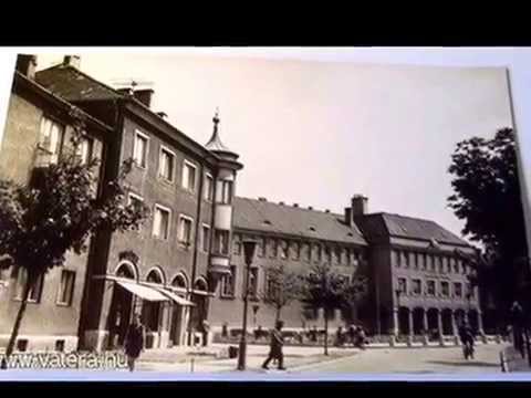 OROSZLÁNY  60 ÉVE  VÁROS