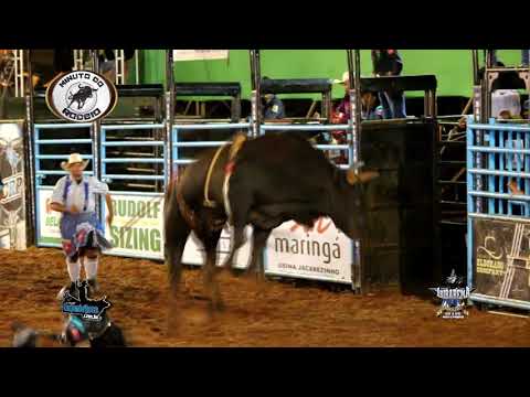 Malaquias de Castro Vs Extremo Cia Juvenal Prontemolez  Ibirarema Rodeo Fest 2018