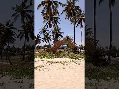 Praia de Japaratinga #travel #japaratinga #alagoas #viagem