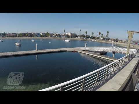 San Diego King Tide Timelapse