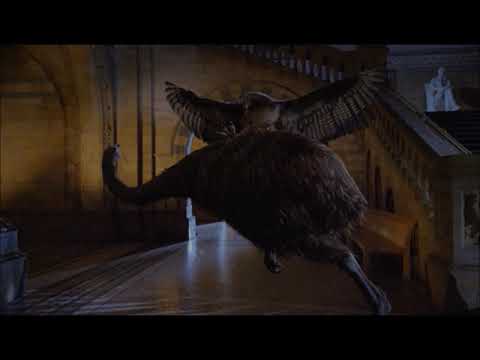 Animals Of Natural History Museum Alive