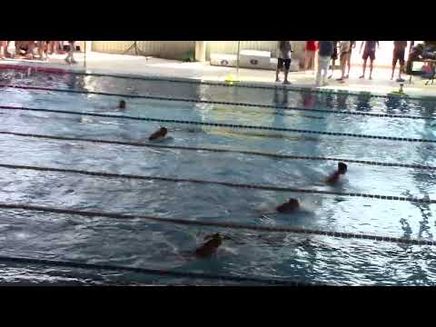 Ferrari G.(2) Maka G.(3) Castellani S.(5) Ferretti F.(6) 100RA - Livorno 28.05.23