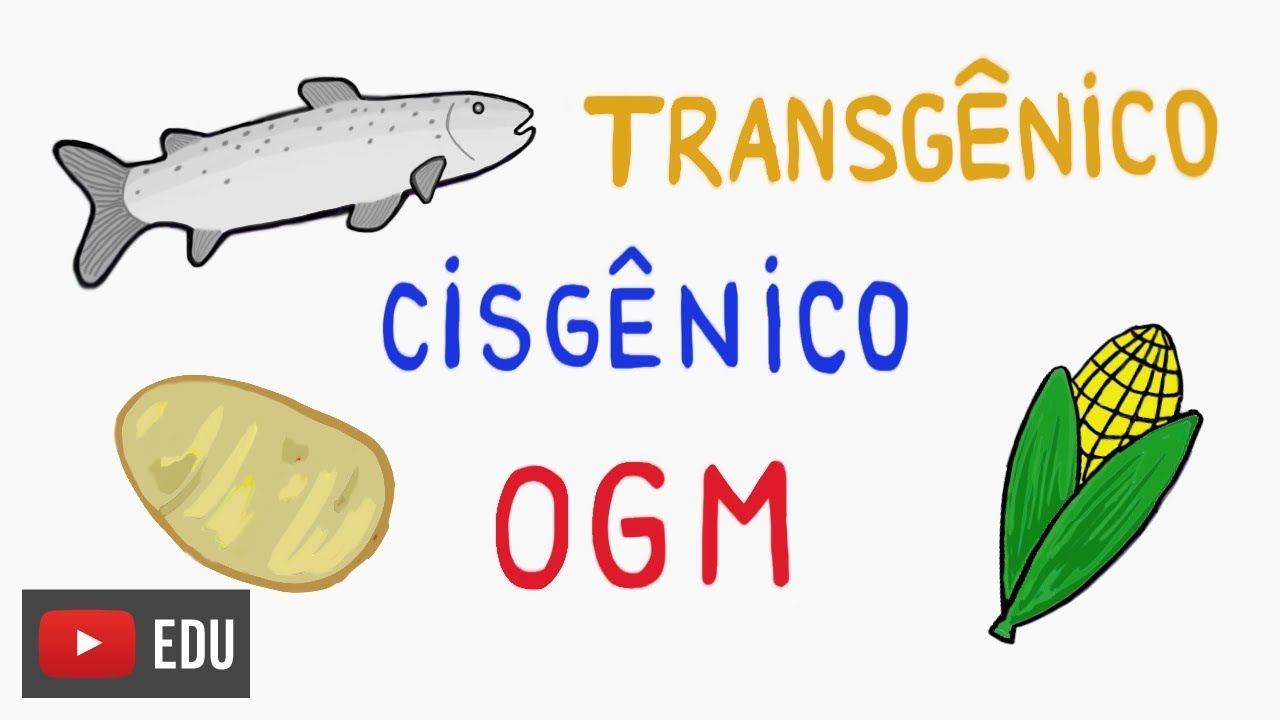 Are they all transgenic? #InstanteBiotec 53