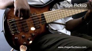Video thumbnail for MTD Kingston Z5 Bass w/ Maple Fingerboard Demo - The Perfect Bass by theperfectbass