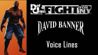 Def Jam FFNY - David Banner Voice Lines