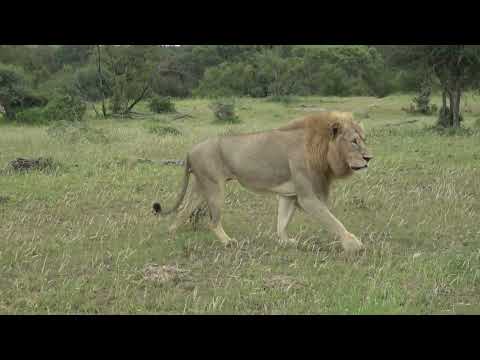 Kruger National Park December 2022/January 2023 (deel4)