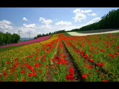 NUJABES APANI B [FLY EMCEE]