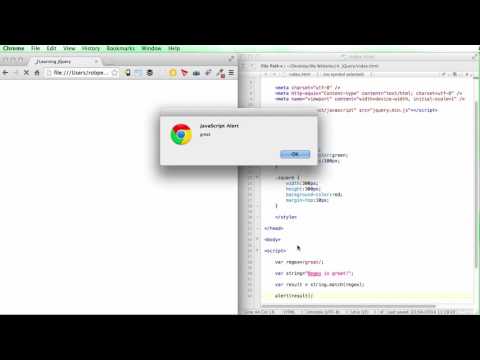009 Regular Expressions