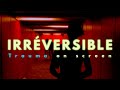 Gaspar Noé S Irreversible Damage