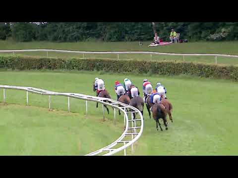 Dielsdorf/17.08.2019/Prix de Diane - Stutenderby, GP Horse Park Zurich Dielsdorf AG - Belmond Racing