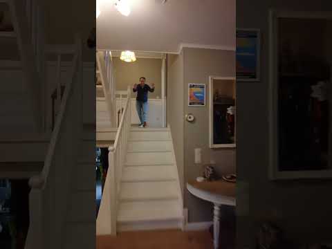 Vidéo