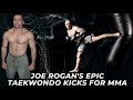 Joe Rogan's Taekwondo Kicks in MMA Fights