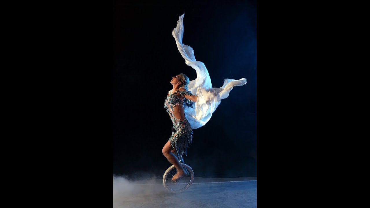 Promotional video thumbnail 5 for Alesya Gulevich Visual Artist and Entertainer