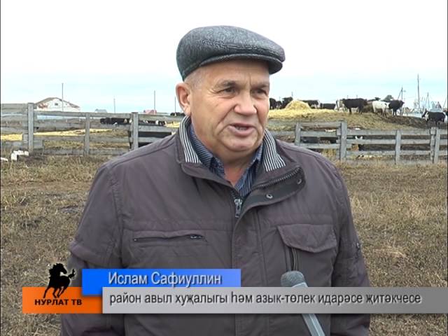 Тиресне кырга-ашлама урынына