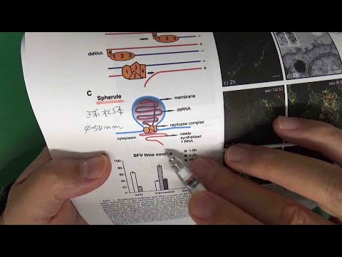 宇宙工場からの臓器?スタートアップは大きな計画を立てる