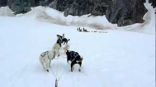 preview picture of video 'Mendenhall Glacier AK DogSled Ride from Zaandam 7/25/12'