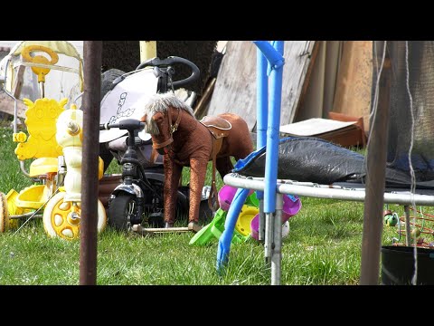 Maltretowali 8-letnie dziecko 05.04.2023