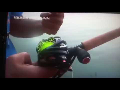 Dica do mestre, Nelson Nakamura