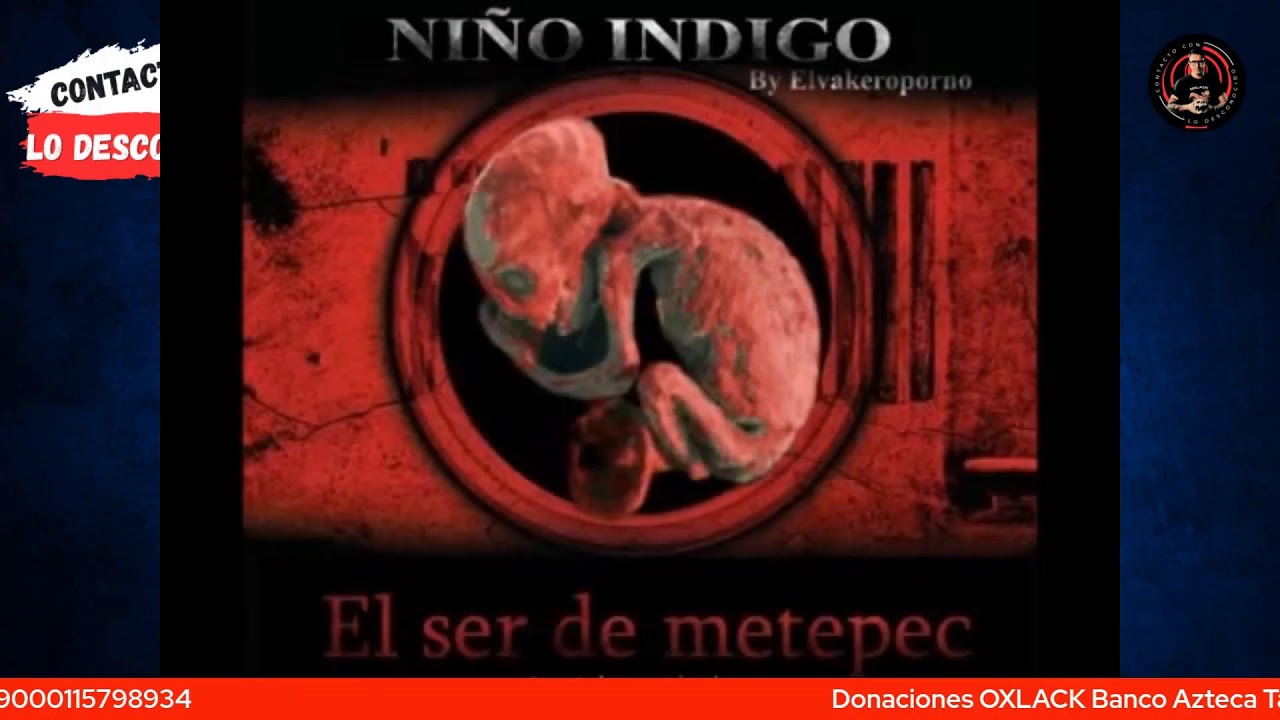 ¿CUÁL SERÁ EL SIGUIENTE TEMA VIRAL?