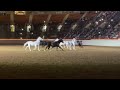 Jenny Vidbel Horse World Expo 2023 Friday Night Performance Harrisburg PA
