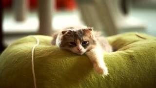 My Bloody Valentine- Off your face