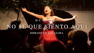 Kie Kanazawa - M. F. Caballero „No se que siento aqui“