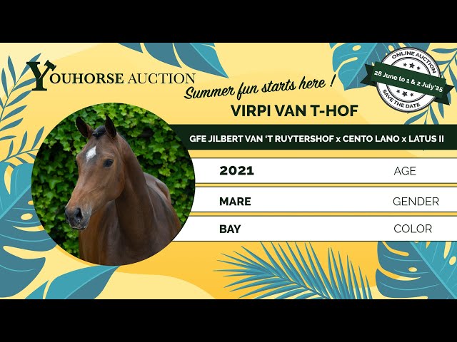 Virpi van T-Hof