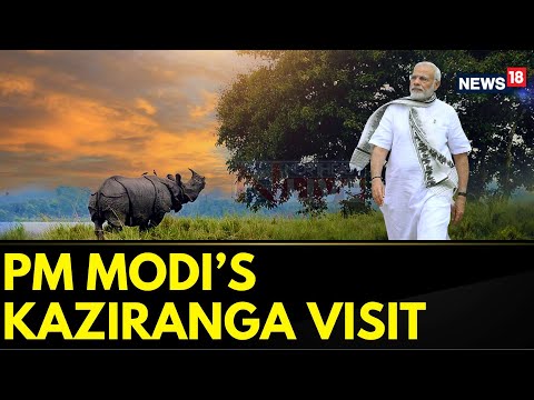 PM Modi Will Have A Busy Saturday As He Starts His Day Early With A 5.45 AM Safari | News18