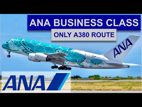 ANA'S ONLY A380 FLIGHT!