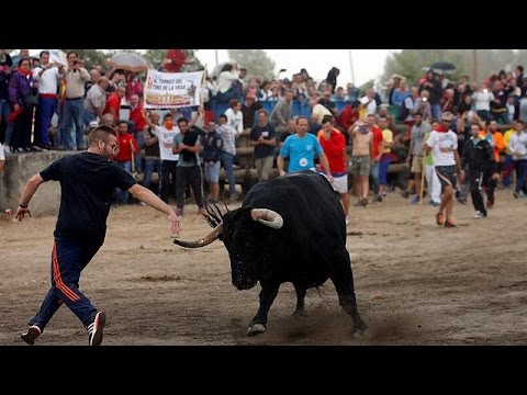 Traditionelle Stier-Hatz in Tordesillas erstmals ohne Lanzen