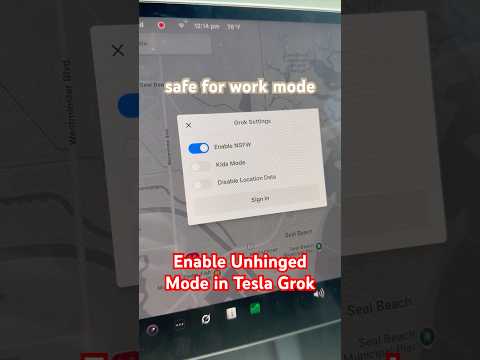 Enable Unhinged Mode on Tesla Grok