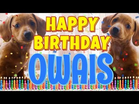 Happy Birthday Owais! ( Funny Talking Dogs ) What Is Free On My Birthday