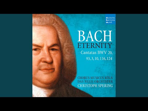 O Ewigkeit, du Donnerwort, BWV 20: X. O Menschenkind (Duett)