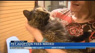 Humane Society waives adoption fees until end of year