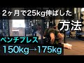 【150k→175kg】ベンチプレスMAXを2ヶ月で25kgUPさせた方法！！(HPSトレーニング)