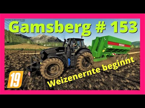 LS 19 Gamsberg #153 Der Weizen ist reif
