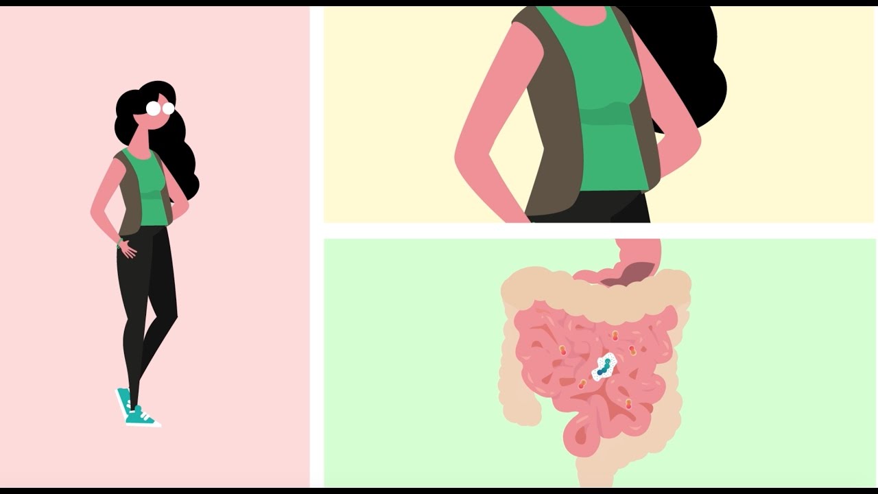 Les probiotiques:  Comment ça marche avec le lactobacillus gasseri 