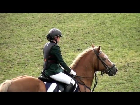 Magdalena Mateschitz - Strawinsky - E - Reichenau 2015