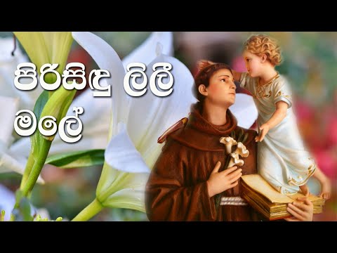 Sinhala Geethika | Pirisidu Lili Male | Hymn for Saint Anthony of Padua | Lyrics | Original