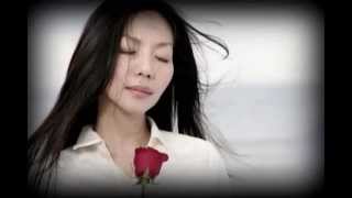 [Instru. cover] 新不了情 Xin bu liao qin - 萬芳 Wan Fang cover by Akatomie