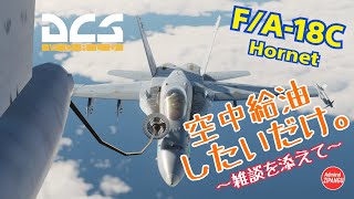 【DCS World】空中給油したいだけ。～雑談を添えて～ [ F/A-18C 編 ]