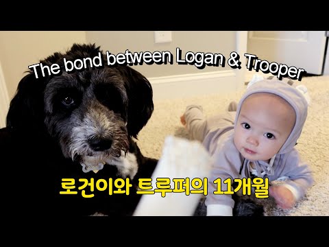 🐶 👶 요청영상! 강아지와 함께한 아기의 인생 첫 11개월
