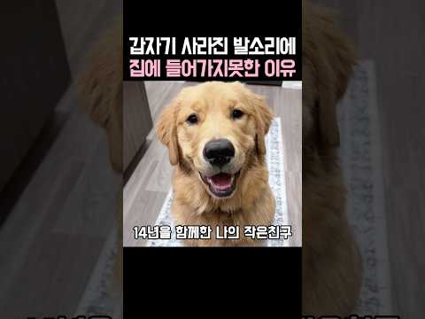 갑자기 사라진 발소리에 집에 들어가지못한 이유