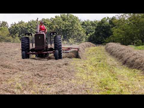 Celebrating women in agriculture
