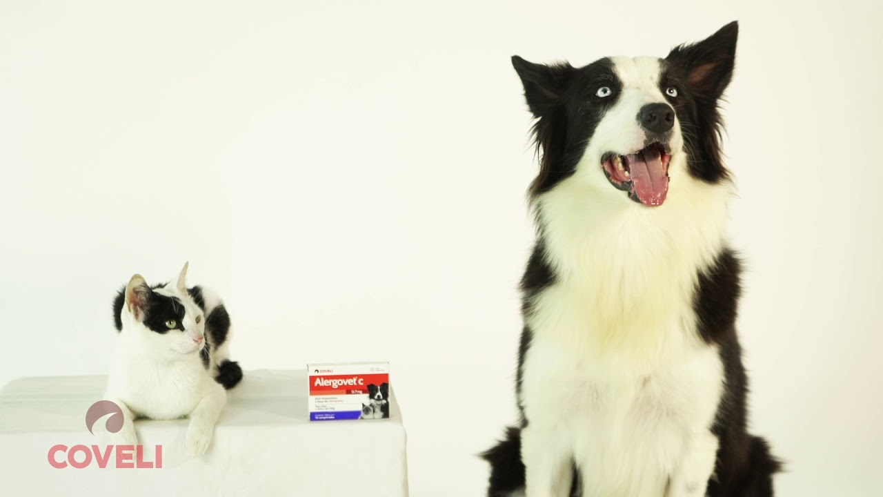 Alergovet c - Coveli - comercial 15''